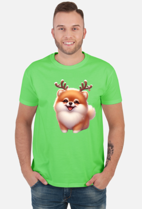 Reinfer Pomeranian