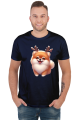Reinfer Pomeranian