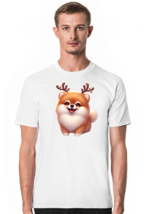 Reinfer Pomeranian