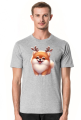 Reinfer Pomeranian