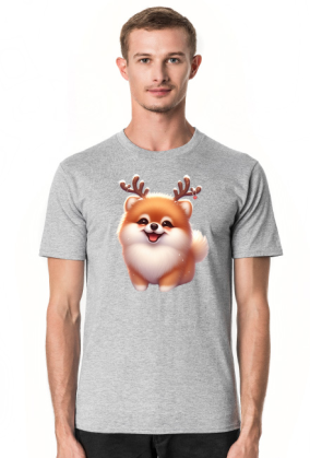 Reinfer Pomeranian