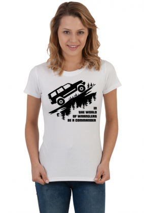 COMMANDER-10K