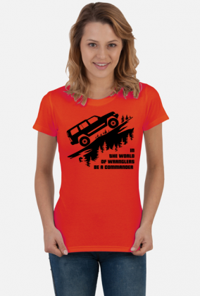 COMMANDER-10K