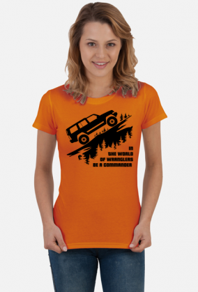 COMMANDER-10K