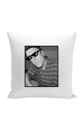 Poduszka Terry A. Davis