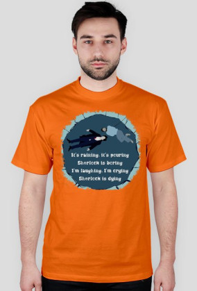 Sherlock's Mindpalace