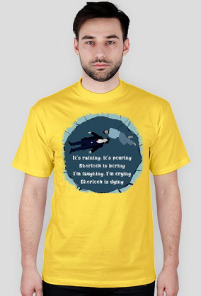 Sherlock's Mindpalace