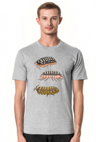 Isopody Koszulka
