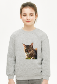 Ładny kot na trawie