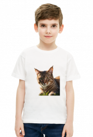 Ładny kot na trawie