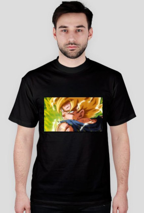 Goku SSJ Fury