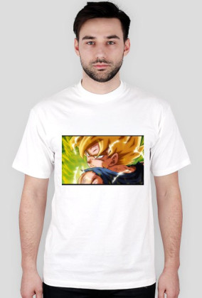 Goku SSJ Fury