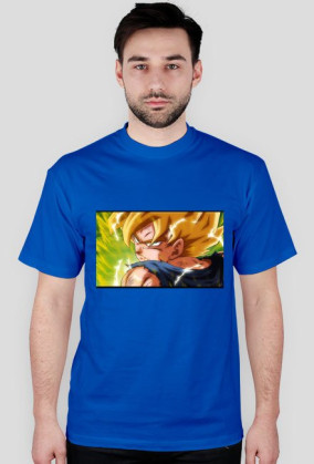 Goku SSJ Fury