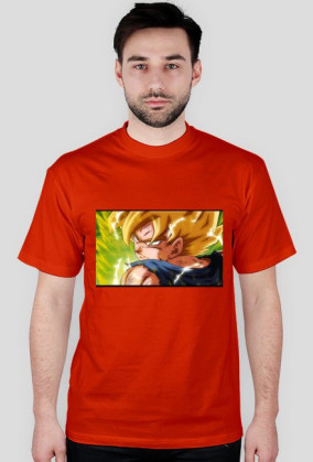 Goku SSJ Fury