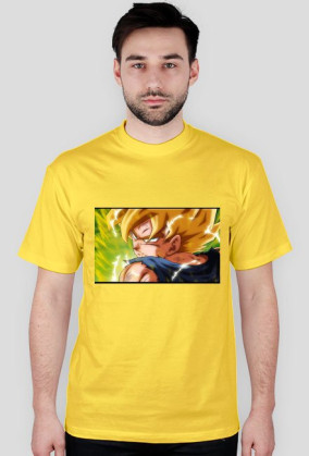 Goku SSJ Fury
