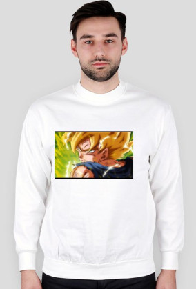 Goku SSJ Fury