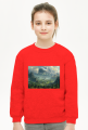 Bluza dziecięca Unisex - Star Wars (13)