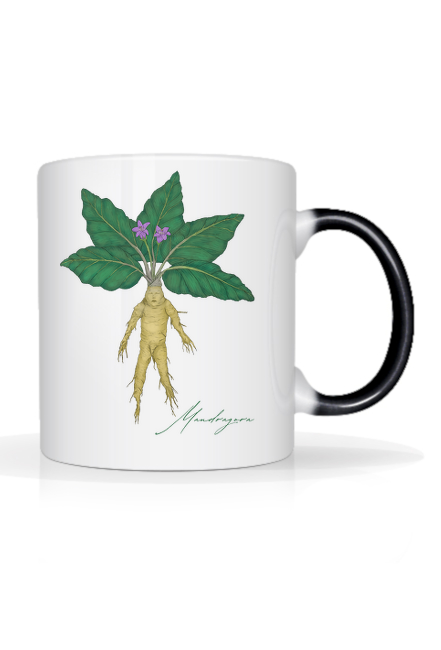 Śpiąca Mandragora, kubek