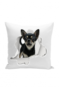 Chihuahua poduszka  | ToSeKup