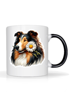Daisy collie