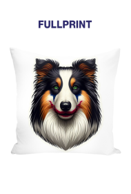 Joker collie