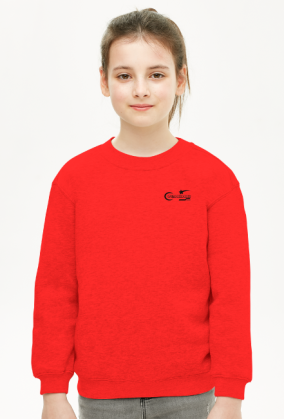 CREWNECK Y2K CHIC