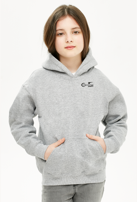 HOODIE Y2K CHIC
