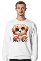 Pwease