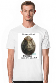 nie reguluj monitora to schodząca skurka