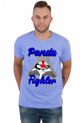 Panda fighter