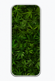 Piórnik Marihuana