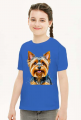 Yorkshire Terrier styl Abstrakcyjny