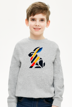 Abstrakcyjny Królik w Stylu Geometrycznym – Bluza Dla Chłopców