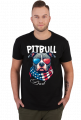 Amerykański Pitbull