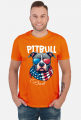 Amerykański Pitbull