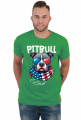 Amerykański Pitbull