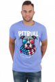 Amerykański Pitbull