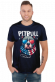 Amerykański Pitbull
