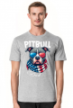 Amerykański Pitbull