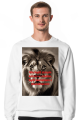 Bluza kociak