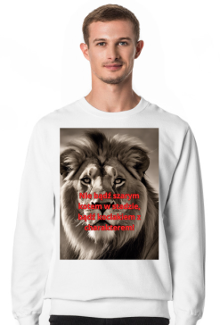 Bluza kociak