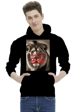 Bluza kociak 3