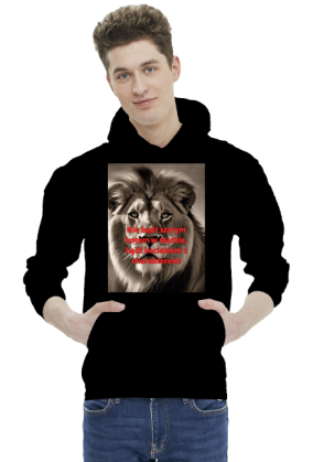Bluza kociak 3