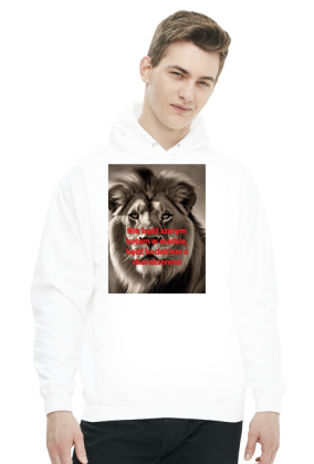 Bluza kociak 3