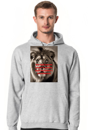 Bluza kociak 3