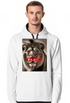 Bluza kociak 5