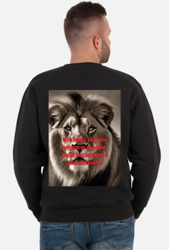 Bluza kociak 7