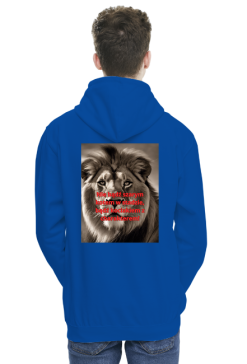 Bluza kociak 8