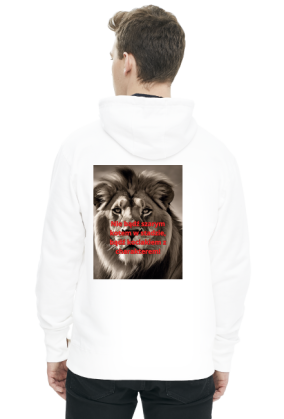 Bluza kociak 8