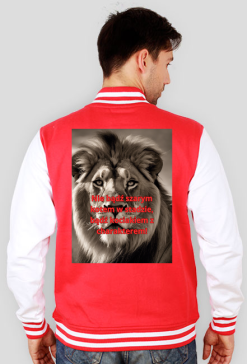 Bluza kociak 9